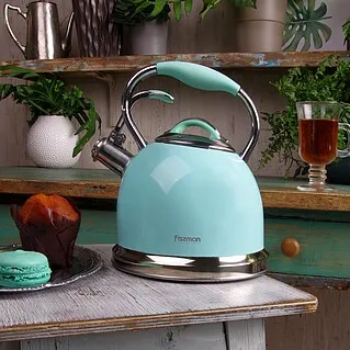 Какой чайник купить для газовой плиты?