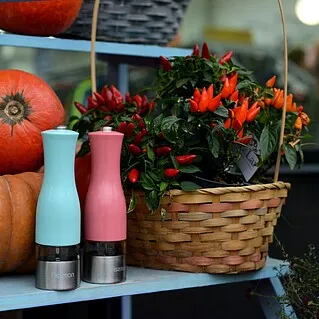 Выбираем мельницу для специй